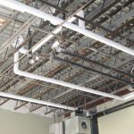 sigal 425x319 IMG 0615